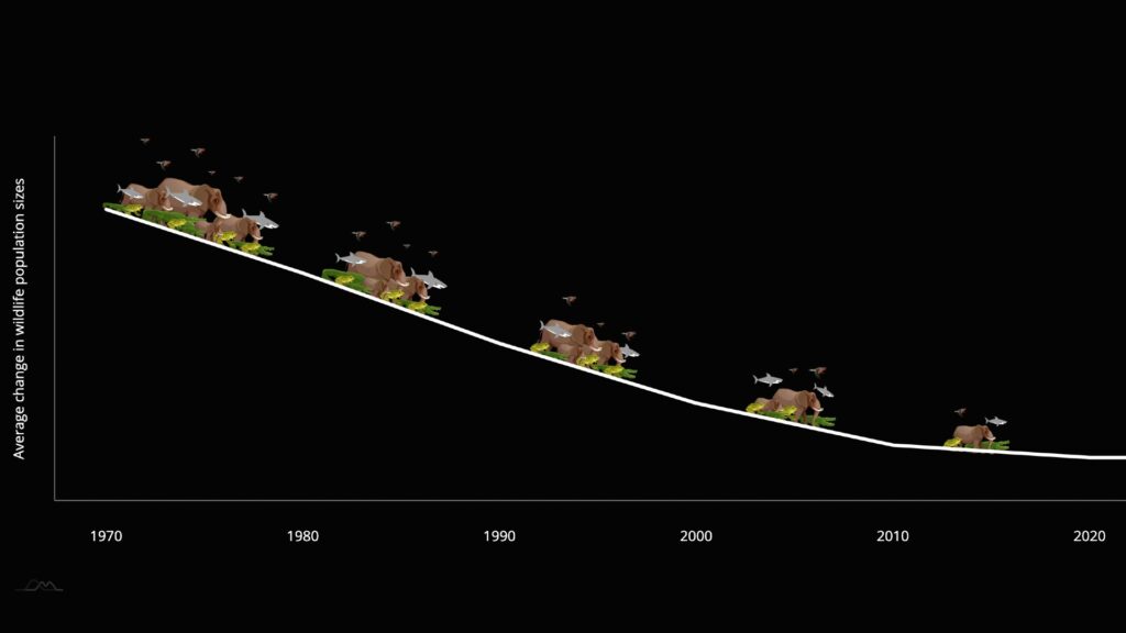 De nombreuses espèces animales de vertébrés s'éteignent depuis 1970. // Source : WWF De nombreuses espèces animales de vertébrés s'éteignent depuis 1970. // Source : WWF