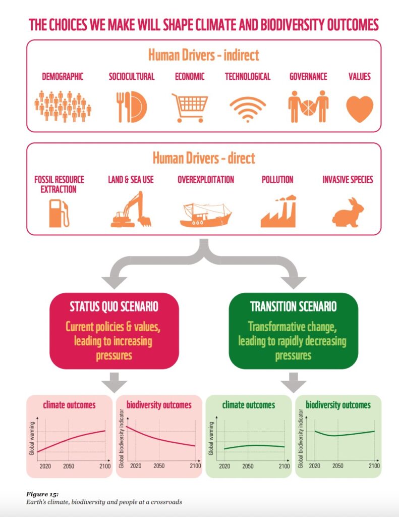 Infographie de la WWF sur les choix qui peuvent sauver les espèces. // Source : WWF Infographie de la WWF sur les choix qui peuvent sauver les espèces. // Source : WWF