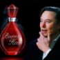 Elon Musk et son parfum "poils brûlés" // Source : YouTube/Montage Nino Barbey pour Numerama Elon Musk et son parfum "poils brûlés" // Source : YouTube/Montage Nino Barbey pour Numerama