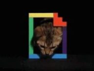 Logo de Giphy et un chat mignon. // Source : Giphy (extrait) Logo de Giphy et un chat mignon. // Source : Giphy (extrait)