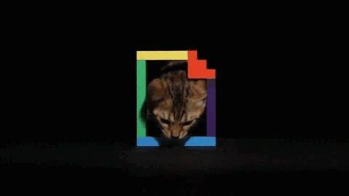 Logo de Giphy et un chat mignon. // Source : Giphy (extrait) Logo de Giphy et un chat mignon. // Source : Giphy (extrait)