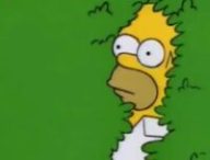 Homer se cache dans les buissons // Source : Les Simpson Homer se cache dans les buissons // Source : Les Simpson