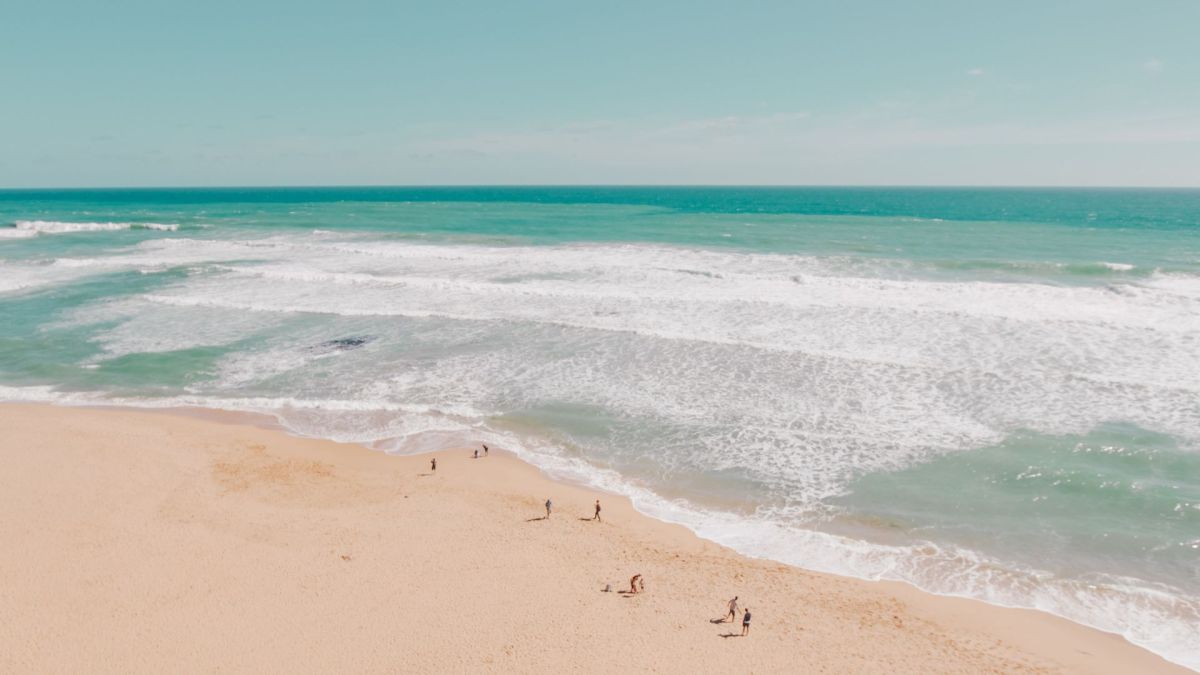 L'océan Pacifique. // Source : Unsplash/Shawnn Tan (photo recadrée) L'océan Pacifique. // Source : Unsplash/Shawnn Tan (photo recadrée)