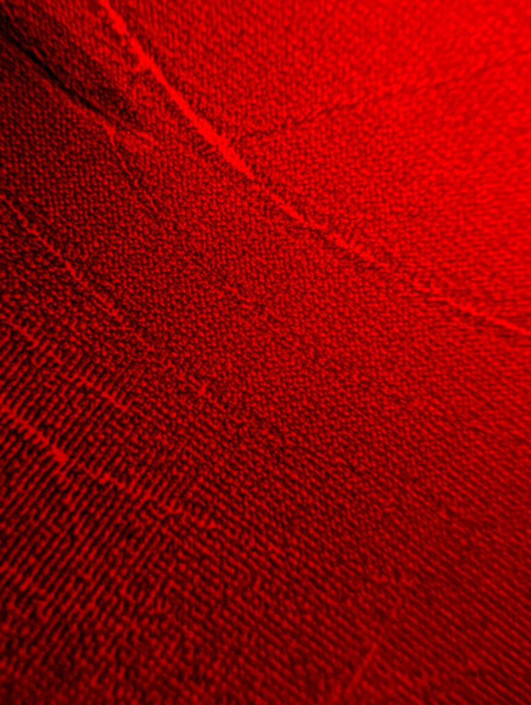 Photo prise au Pixel 7 Pro de Google // Source : Numerama Photo prise au Pixel 7 Pro de Google // Source : Numerama