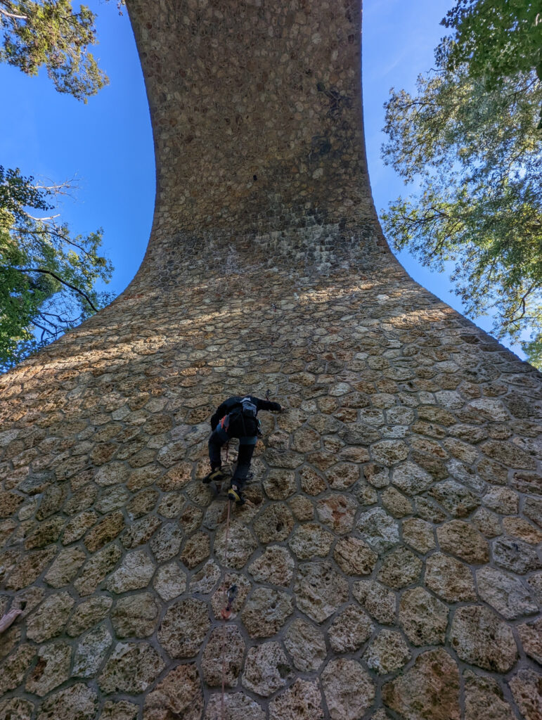 Photo prise au Pixel 7 Pro de Google // Source : Numerama Photo prise au Pixel 7 Pro de Google // Source : Numerama