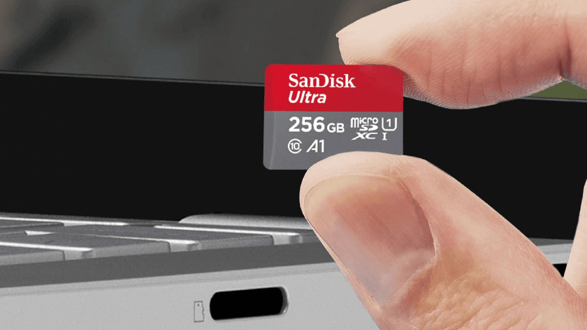 microSD sandisk // Source : Western Digital microSD sandisk // Source : Western Digital