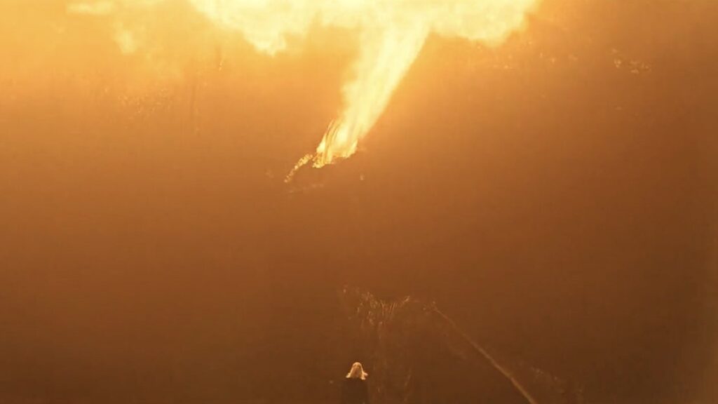 Vermithor feu Vermithor feu