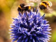 Source : Pexels Source : Pexels