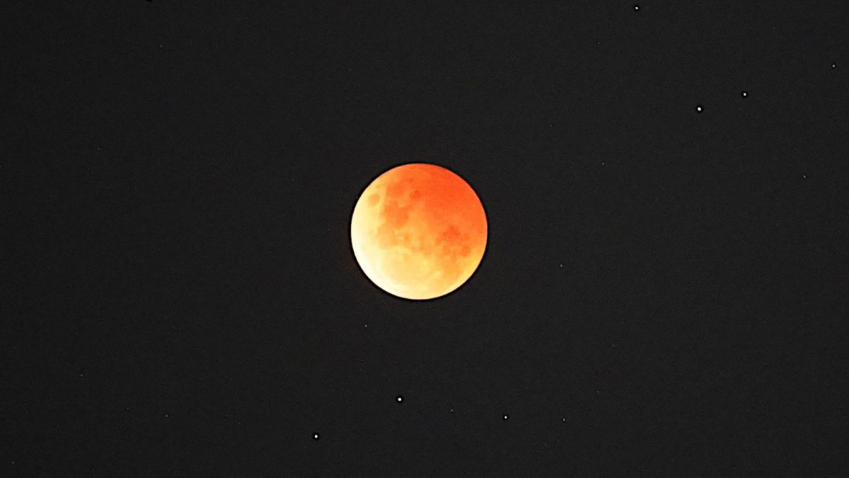 L'éclipse lunaire du 8 novembre 2022. // Source : Flickr/CC/Alpha (photo recadrée) L'éclipse lunaire du 8 novembre 2022. // Source : Flickr/CC/Alpha (photo recadrée)
