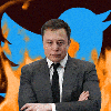Elon Musk // Source : Numerama