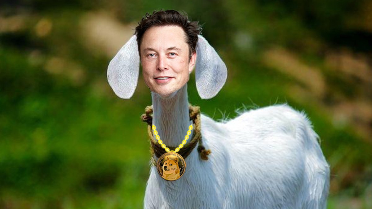 Elon Musk le goat // Source : Nino Barbey pour Numerama Elon Musk le goat // Source : Nino Barbey pour Numerama