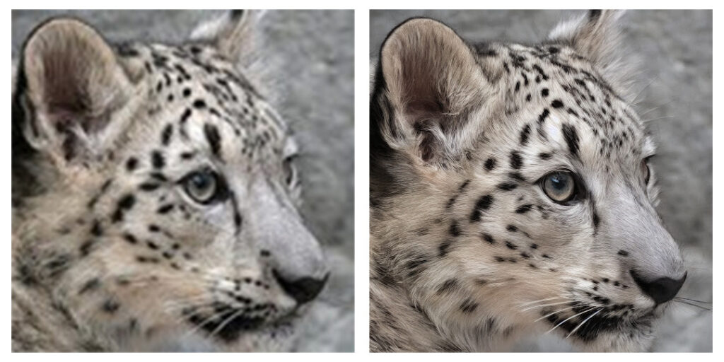 La différence entre une photo créée avec l'ancienne version, et avec la nouvelle // Source : StabilityAI La différence entre une photo créée avec l'ancienne version, et avec la nouvelle // Source : StabilityAI