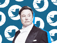 Elon Musk / Twitter // Source : Numerama