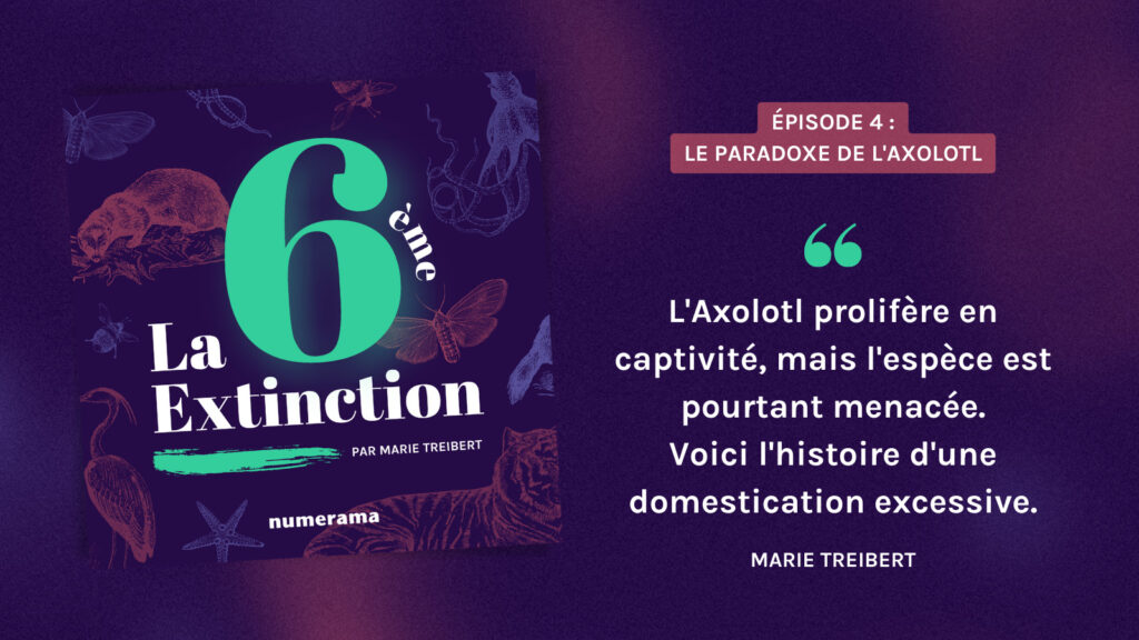 L'épisode 4 est sur toutes les plateformes d'écoute. L'épisode 4 est sur toutes les plateformes d'écoute.