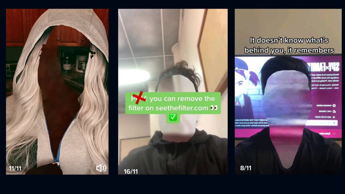 Une fausse appli sur TikTok. // Source : Numerama Une fausse appli sur TikTok. // Source : Numerama