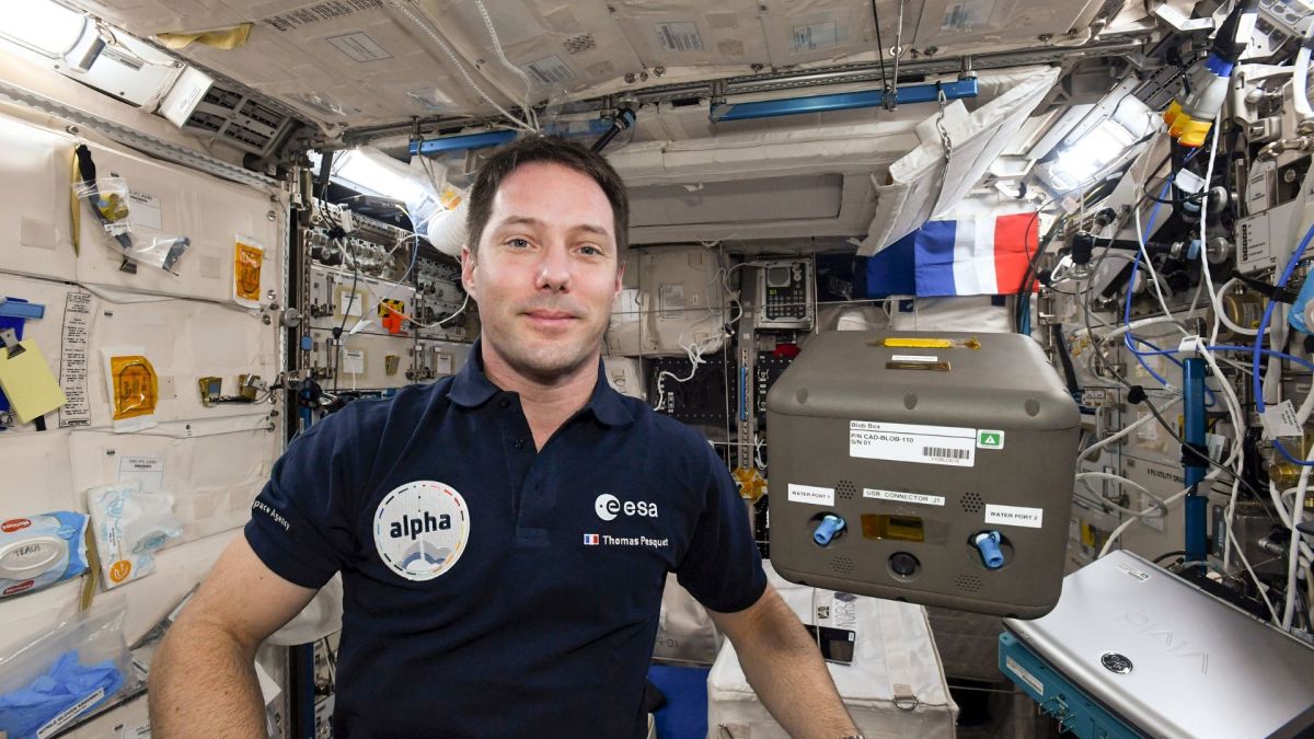 Thomas Pesquet dans l'iSS en 2021. // Source : ESA/NASA/2021 Thomas Pesquet dans l'iSS en 2021. // Source : ESA/NASA/2021