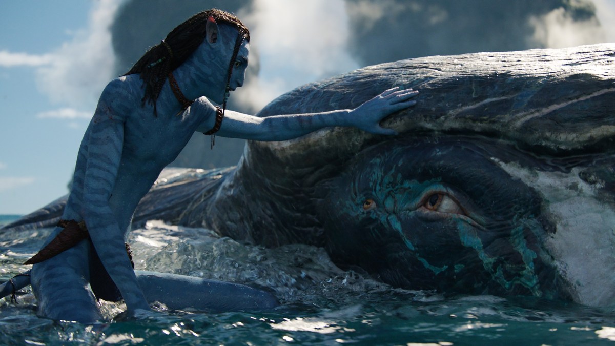Source : Avatar 2 : La Voie de l'Eau Source : Avatar 2 : La Voie de l'Eau