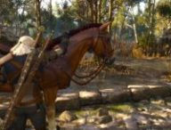 The Witcher 3: Wild Hunt // Source : Capture PS5