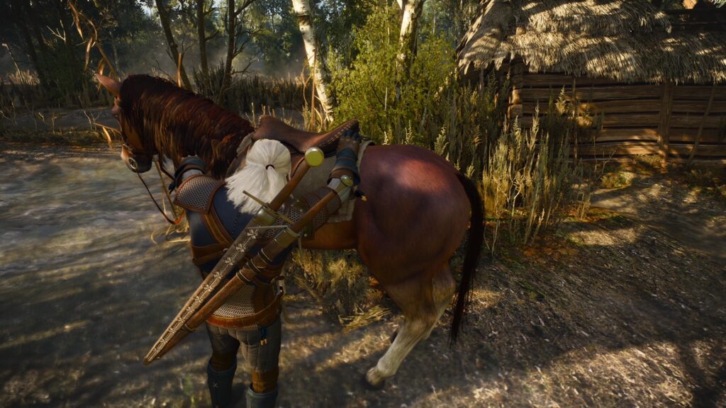The Witcher 3: Wild Hunt // Source : Capture PS5 The Witcher 3: Wild Hunt // Source : Capture PS5
