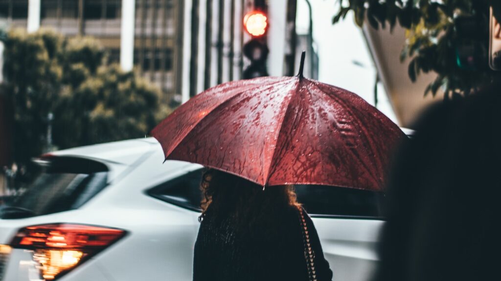 Les études sont concentrées surtout sur les milieux urbains pour l'instant. // Source : Pexels Les études sont concentrées surtout sur les milieux urbains pour l'instant. // Source : Pexels