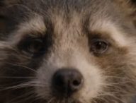 Rocket dans Guardians of the Galaxy Vol.3 // Source : Marvel