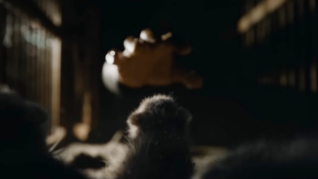 Comment Rocket est-il devenu le raton-laveur que l'on connaît ? // Source : Marvel Comment Rocket est-il devenu le raton-laveur que l'on connaît ? // Source : Marvel