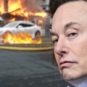 Elon musk et Tesla // Source : Montage Numerama Elon musk et Tesla // Source : Montage Numerama