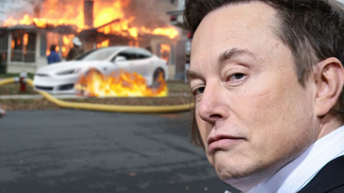 Elon musk et Tesla // Source : Montage Numerama