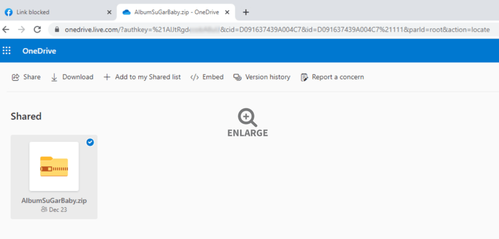 Un album photo contenant le logiciel malveillant téléchargé sur un compte microsoft onedrive. // Source : ZScaler Un album photo contenant le logiciel malveillant téléchargé sur un compte microsoft onedrive. // Source : ZScaler
