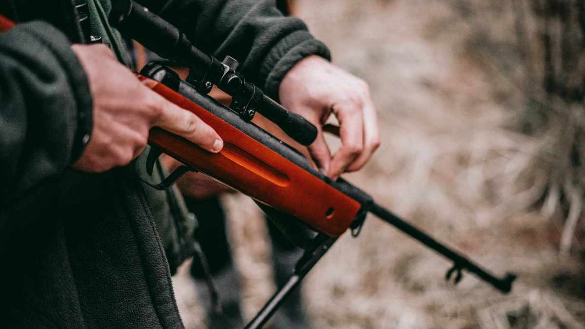Un chasseur // Source : Sebastian Pociecha / Unsplash Un chasseur // Source : Sebastian Pociecha / Unsplash