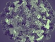 Le coronavirus donne lieu à la maladie Covid-19. // Source : Pixabay/modifié