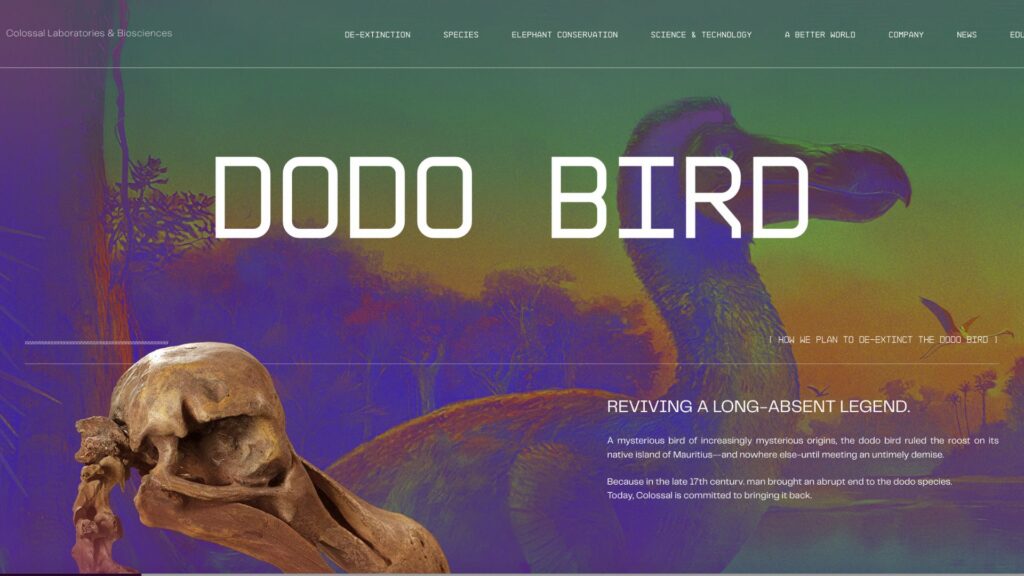 Capture d'écran de la page Dodo de Colossal Biosciences // Source : Colossal Capture d'écran de la page Dodo de Colossal Biosciences // Source : Colossal