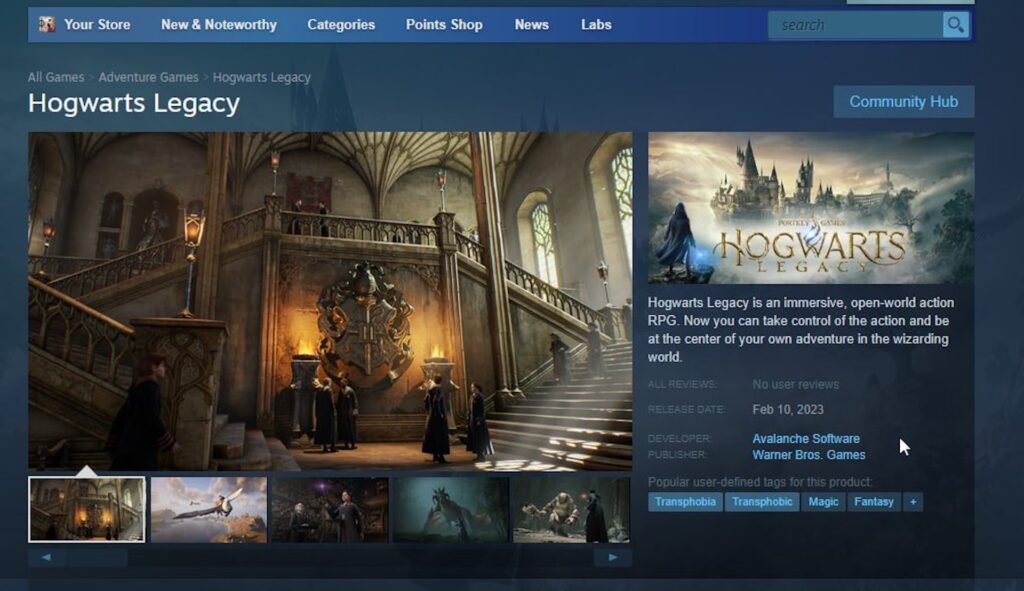 Page Steam de Hogwart Legacy avec des tags // Source : Capture Twitter Page Steam de Hogwart Legacy avec des tags // Source : Capture Twitter
