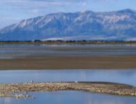 Grand lac salé // Source : Pixabay Grand lac salé // Source : Pixabay