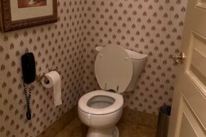 Les toilettes de Withings. // Source : Numerama Les toilettes de Withings. // Source : Numerama
