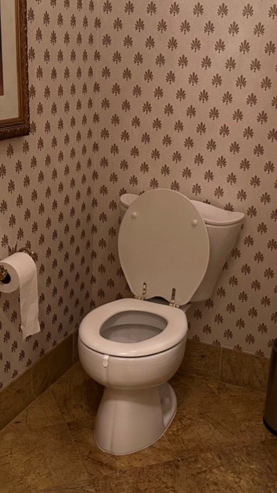 Les toilettes de Withings. // Source : Numerama Les toilettes de Withings. // Source : Numerama