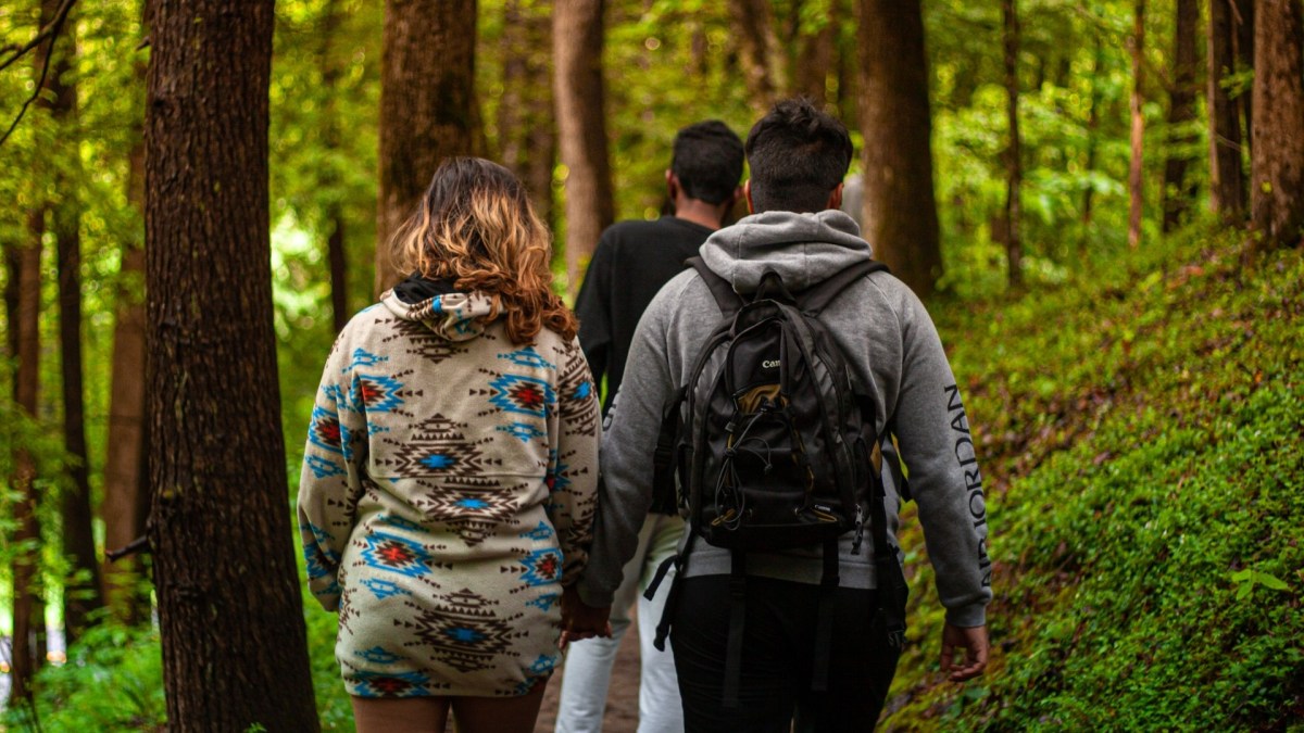Une marche en nature // Source : Pexels Une marche en nature // Source : Pexels