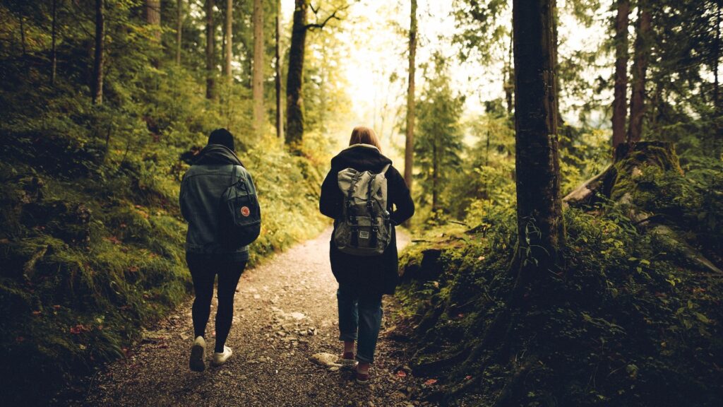 Marcher régulièrement dans des espaces naturels semble avoir un impact sur diverses conditions de santé. // Source : Pexels Marcher régulièrement dans des espaces naturels semble avoir un impact sur diverses conditions de santé. // Source : Pexels
