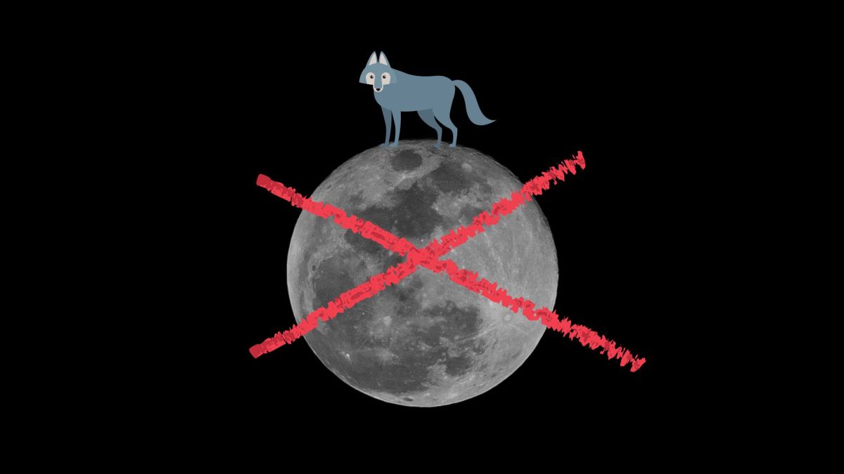 La pleine Lune « du loup » est une simple pleine Lune. // Source : Canva La pleine Lune « du loup » est une simple pleine Lune. // Source : Canva