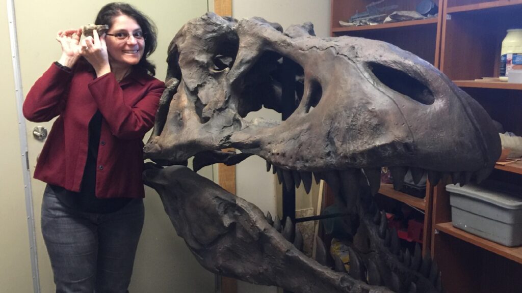 Suzanne Herculano-Houzel avec une reproduction grandeur nature du crâne du T Rex Sue. // Source : Suzanne Herculano-Houzel Suzanne Herculano-Houzel avec une reproduction grandeur nature du crâne du T Rex Sue. // Source : Suzanne Herculano-Houzel