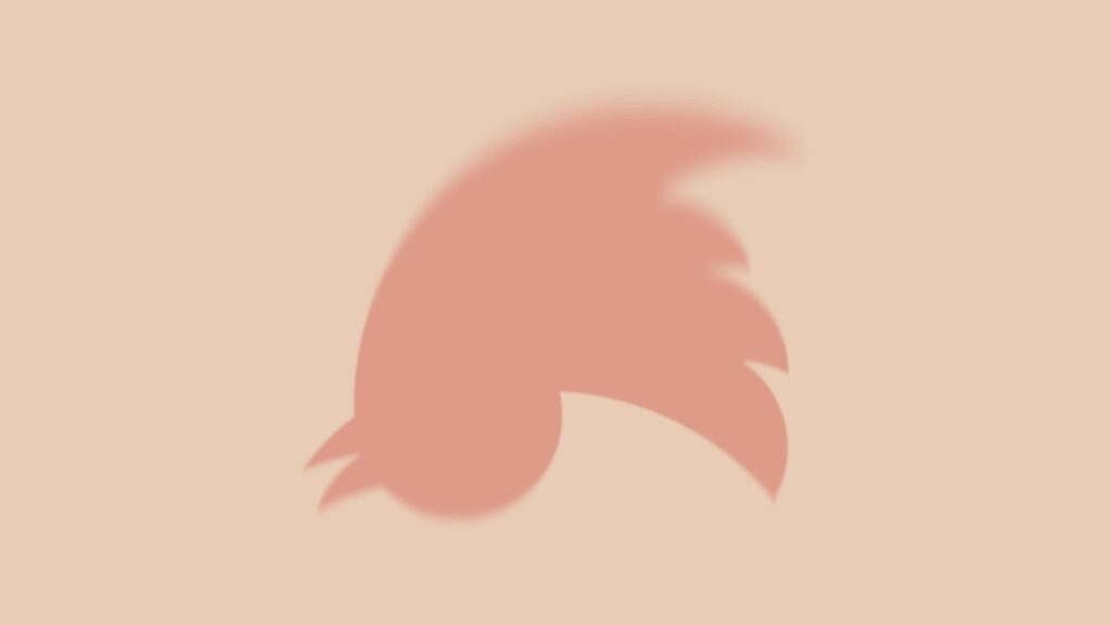 Twitter Twitter
