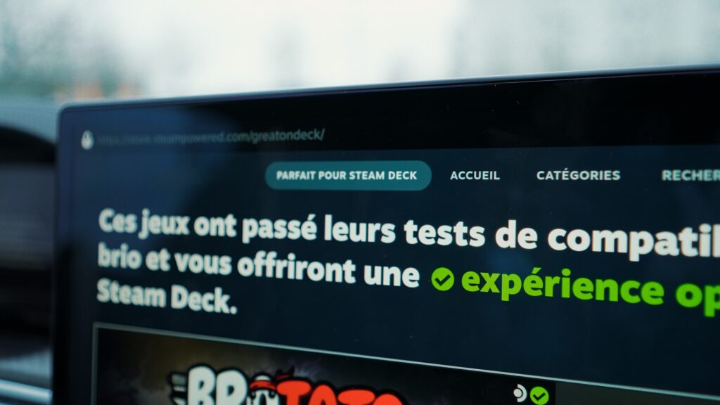 L’interface Steam de la Model S Plaid est la même que celle du Steam Deck // Source : Thomas Ancelle pour Numerama L’interface Steam de la Model S Plaid est la même que celle du Steam Deck // Source : Thomas Ancelle pour Numerama