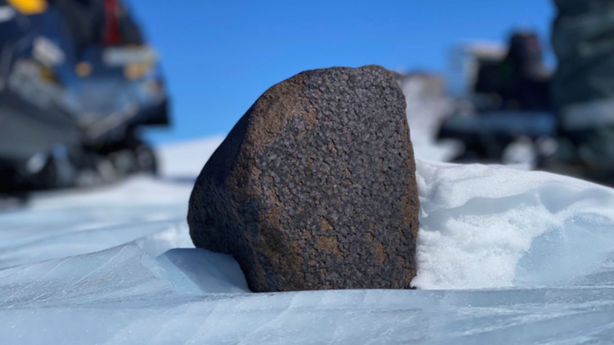 La météorite de 7,6 kg. // Source : ESA, Maria Valdes (photo recadrée) La météorite de 7,6 kg. // Source : ESA, Maria Valdes (photo recadrée)