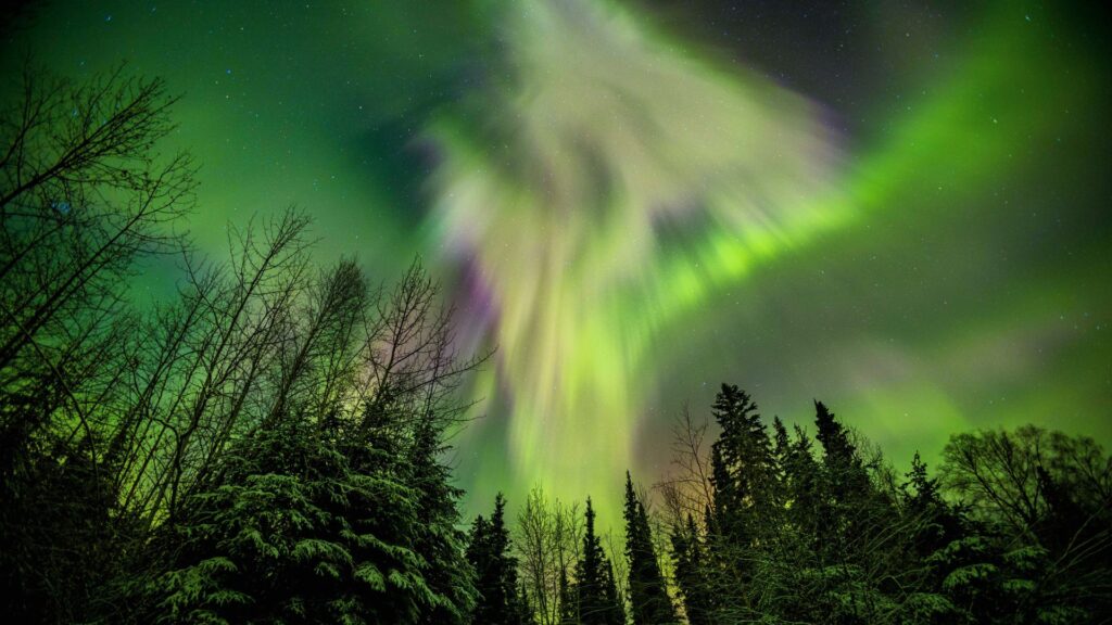 Danse des aurores boréales dans le ciel. // Source : Canva Danse des aurores boréales dans le ciel. // Source : Canva