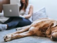 Source : Bruno Cervera pour Unsplash Source : Bruno Cervera pour Unsplash