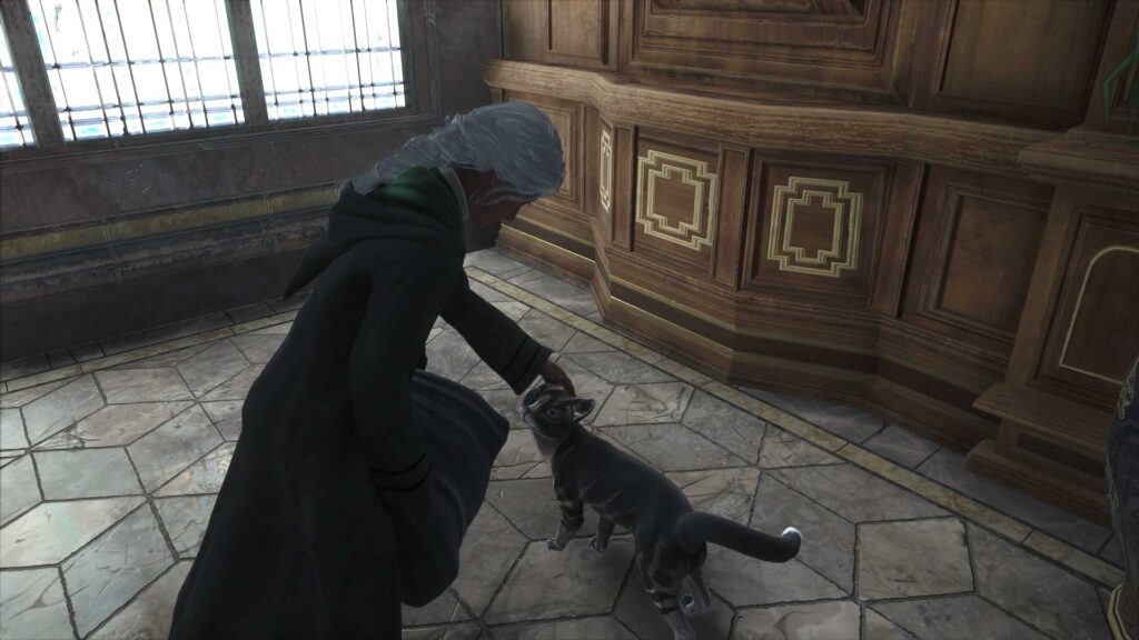 Les chats dans Hogwarts Legacy // Source : Capture PS5 Les chats dans Hogwarts Legacy // Source : Capture PS5