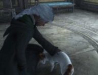 Les chats dans Hogwarts Legacy // Source : Capture PS5 Les chats dans Hogwarts Legacy // Source : Capture PS5