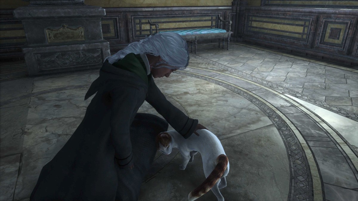 Les chats dans Hogwarts Legacy // Source : Capture PS5 Les chats dans Hogwarts Legacy // Source : Capture PS5