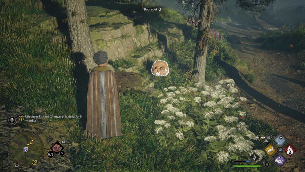 Hogwarts Legacy : L’Héritage de Poudlard // Source : Capture PS5 Hogwarts Legacy : L’Héritage de Poudlard // Source : Capture PS5