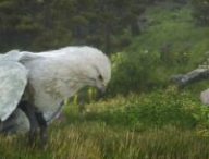Hogwarts Legacy : L’Héritage de Poudlard // Source : Capture PS5